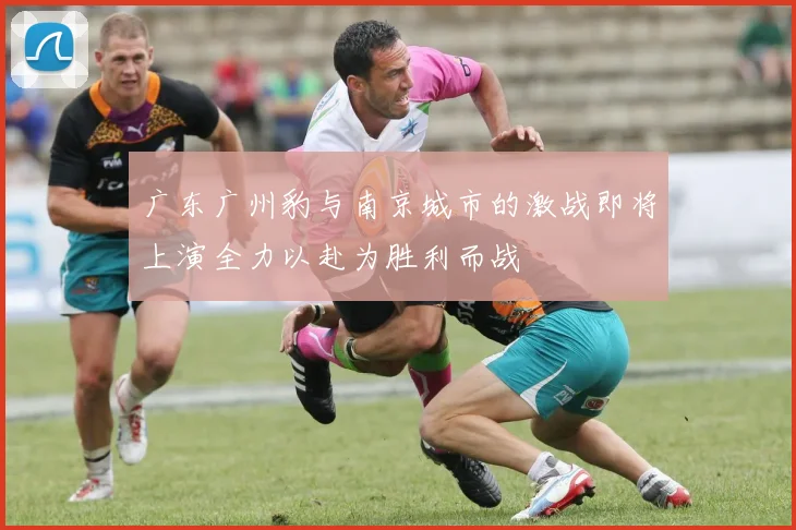 广东广州豹与南京城市的激战即将上演全力以赴为胜利而战